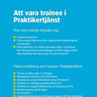 Grafisk form/original till Praktikertjänst