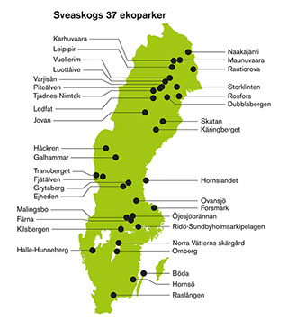Grafisk form/original till Sveaskog, Sverigekarta till ekoparksfoldrar. Gjord i Adobe Illustrator